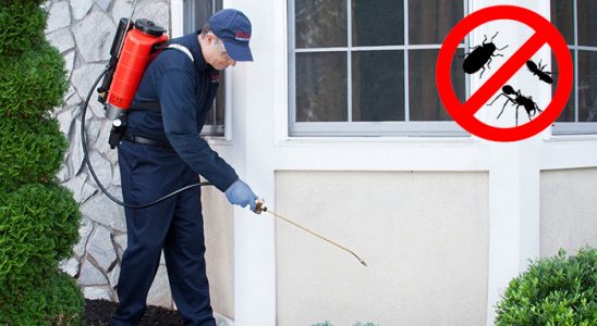 Rize Tahtakurusu İlaçlama böcek ilaçlama ve haşere kontrolü — ilaclama-tr.com